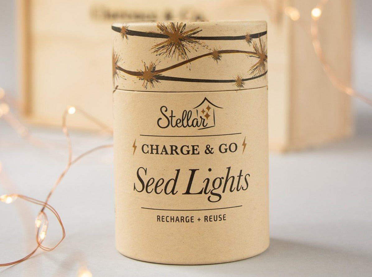 Charge & Go Seed Lights